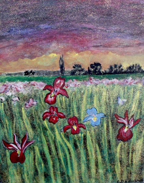 Iris Print