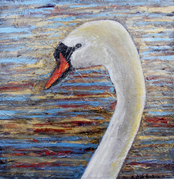 Cygne Print