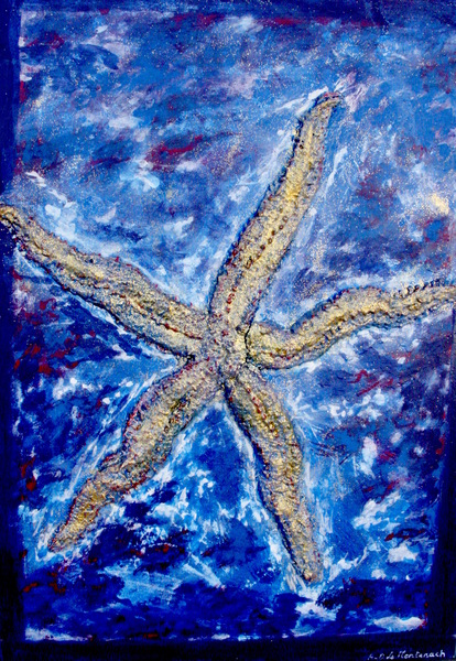 Etoile de mer Print