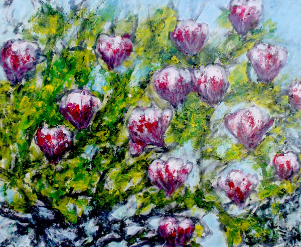 Magnolias by Anneda