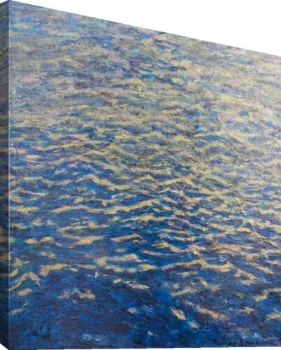 Reflets deau Canvas Print
