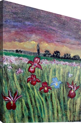 Iris Canvas Print