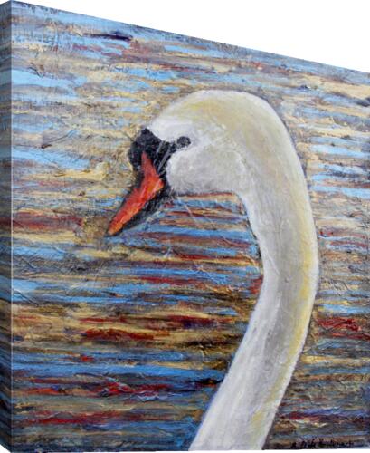 Cygne Canvas Print