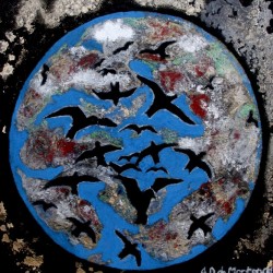 Planete oiseaux