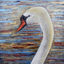 Cygne