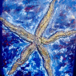 Etoile de mer