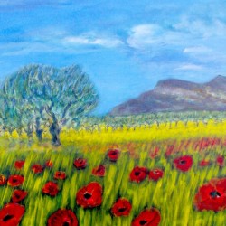 Paysage provencale