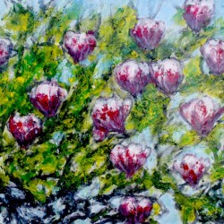 Magnolias