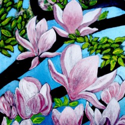 Magnolias
