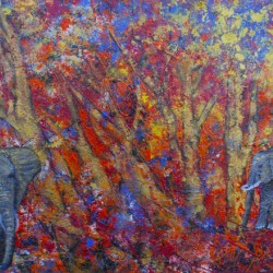 Elephants dans foret