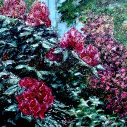 Rhododindrons