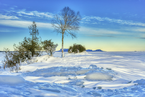 Frozen Superior 
