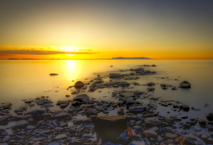 Reflections Of Gold