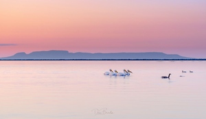 Tranquility