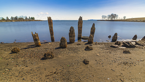 The Old Docks