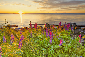 A Superior Shores Morning