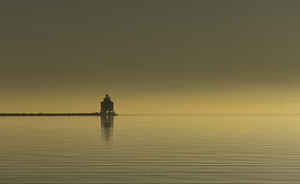 Fog in The Bay