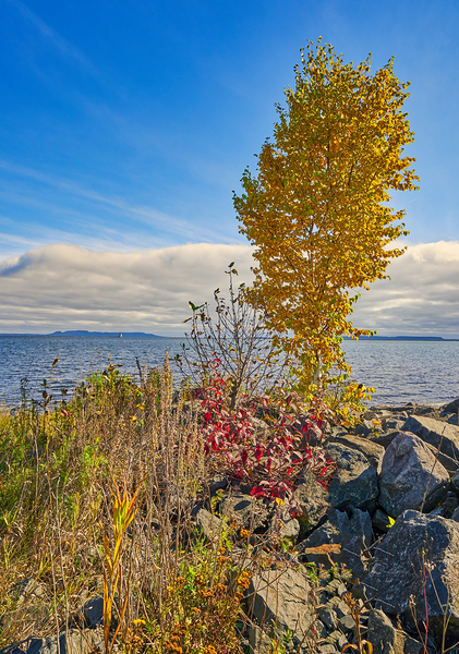  Autumn Colours by Denis Bresolin Photography