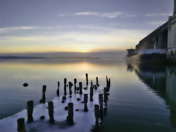 Giant in the Mist by Denis Bresolin Photography
