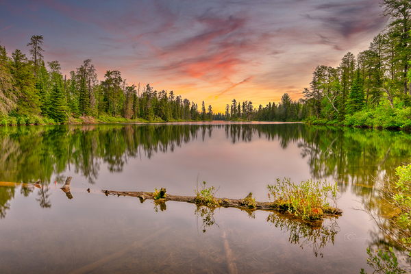 The Log by Denis Bresolin Photography