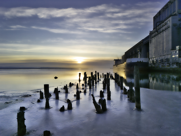 Filling my Belly with Grain by Denis Bresolin Photography