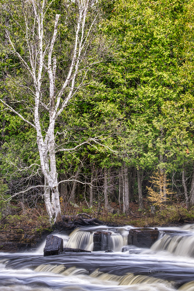 Mother Natures Beauty by Denis Bresolin Photography