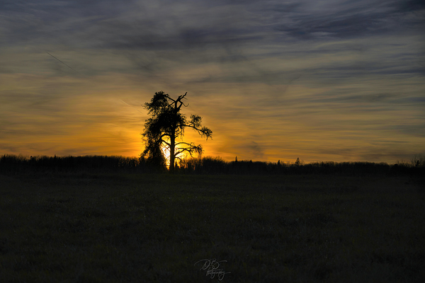  Western Sunset Print