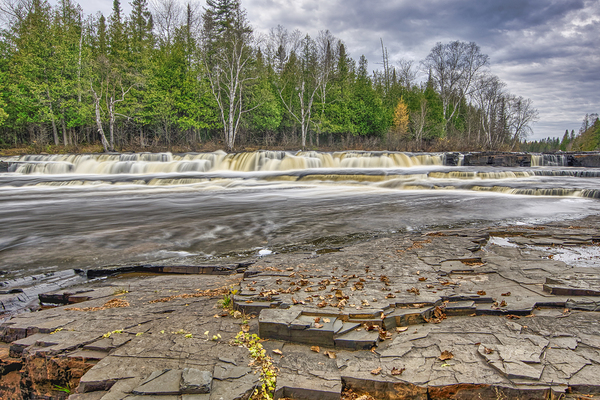 Fallin Leaves by Denis Bresolin Photography