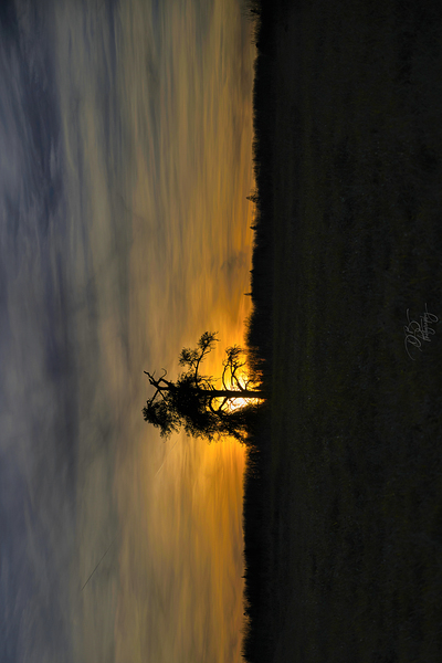 BackLit Print