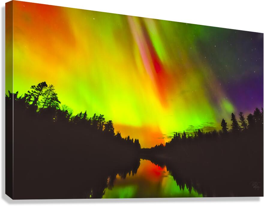 Northern Lights Canvas Print