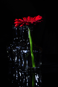 One flower is enough