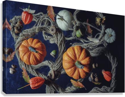 Floating pumpkins  Canvas Print