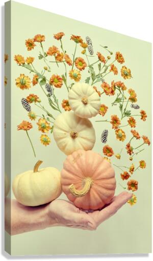 Floating pumpkin II Canvas Print