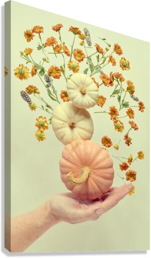 Floating pumpkin III Canvas Print