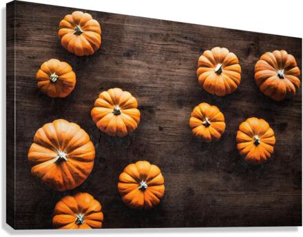 Orange pumpkins  Canvas Print