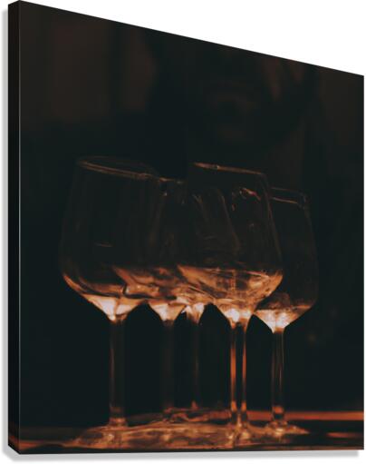 Seeing double II  Canvas Print