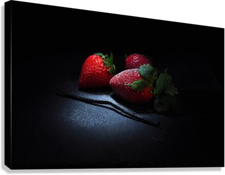 Last snow before spring Canvas Print