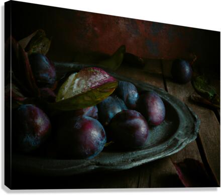 Dark plums I Canvas Print