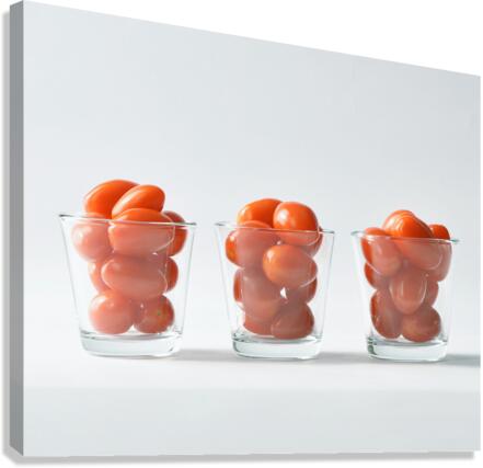 Snacktime Canvas Print