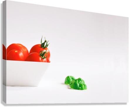 Tricolore Canvas Print
