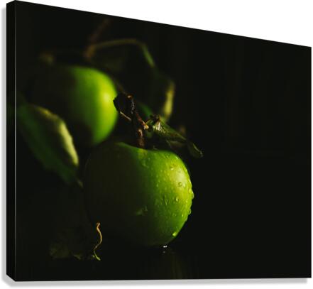 Green leaves Canvas Print