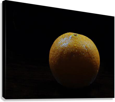 Orange Canvas Print