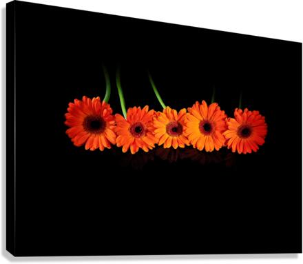 More orange Canvas Print