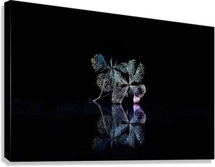 Disco queen Canvas Print