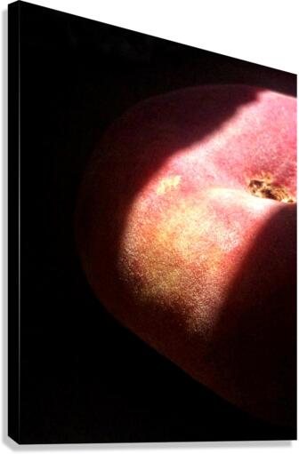 Flat Peach Canvas Print