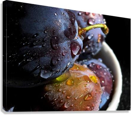 Fresh Plums Canvas Print