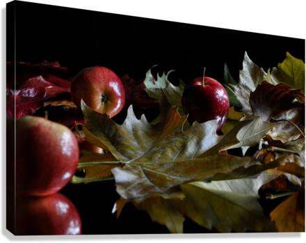 Three Apples Canvas Print