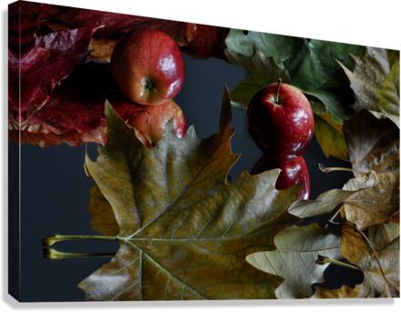 Apple and leaf Canvas Print