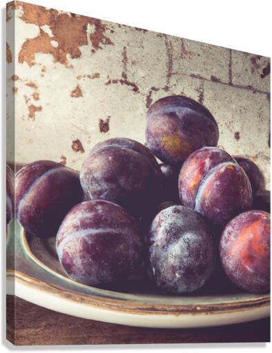 Plums II Canvas Print