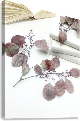Botanical II  Canvas Print